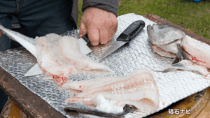 【初心者向け】魚を捌くのに適した包丁の選び方！おすすめ商品やプロ向けまで解説！