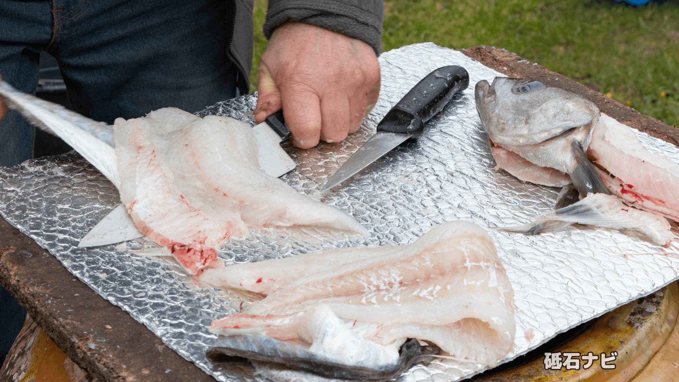 【初心者向け】魚を捌くのに適した包丁の選び方!おすすめ商品やプロ向けまで解説!